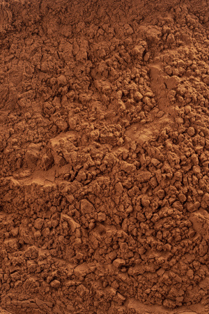 Какао-порошок Cacao Barry Plein Arome 200 грамм