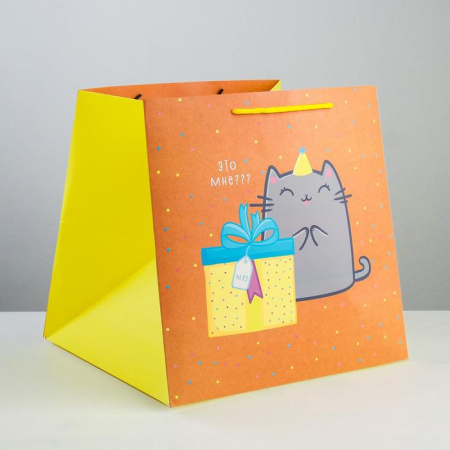 Пакет подарочный "Котик и тортик" 30х30х30см