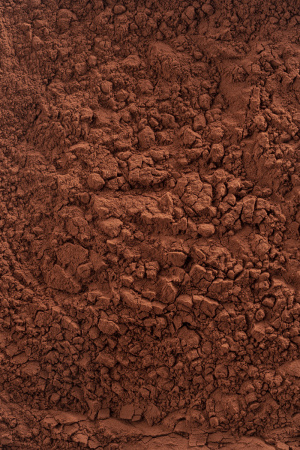 Какао-порошок Cacao Barry ROUGE ULTIME 20/22 200 грамм