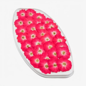 Роза обезвоженная ОГНЕННЫЙ ПОЦЕЛУЙ плоская 20 штук