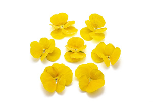 Виола обезвоженная SUNNY PARADISE СОЛНЕЧНЫЙ РАЙ объемная 15 штук