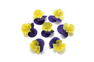 Виола обезвоженная CAT EYES ГЛАЗА КОШКИ объемная 15 штук