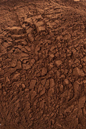 Какао-порошок Cacao Barry EXTRA BRUTE 200 грамм
