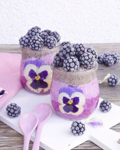 Виола обезвоженная LILAC SUNSET СИРЕНЕВЫЙ ЗАКАТ объемная 15 штук